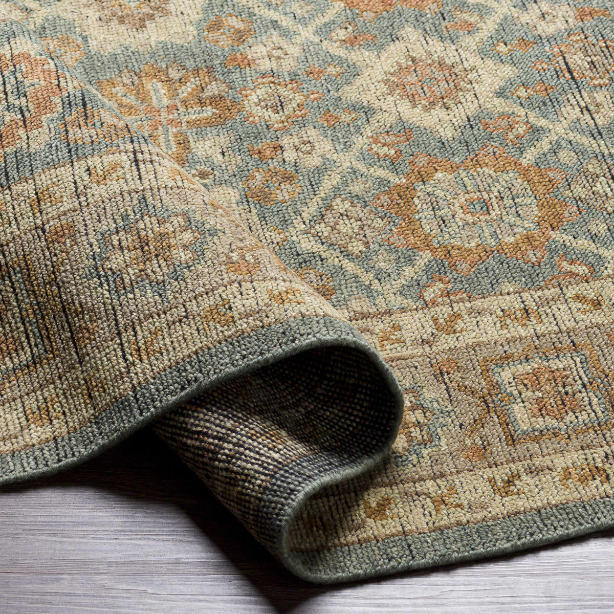Reign REG-2308 Hand Knotted Rug