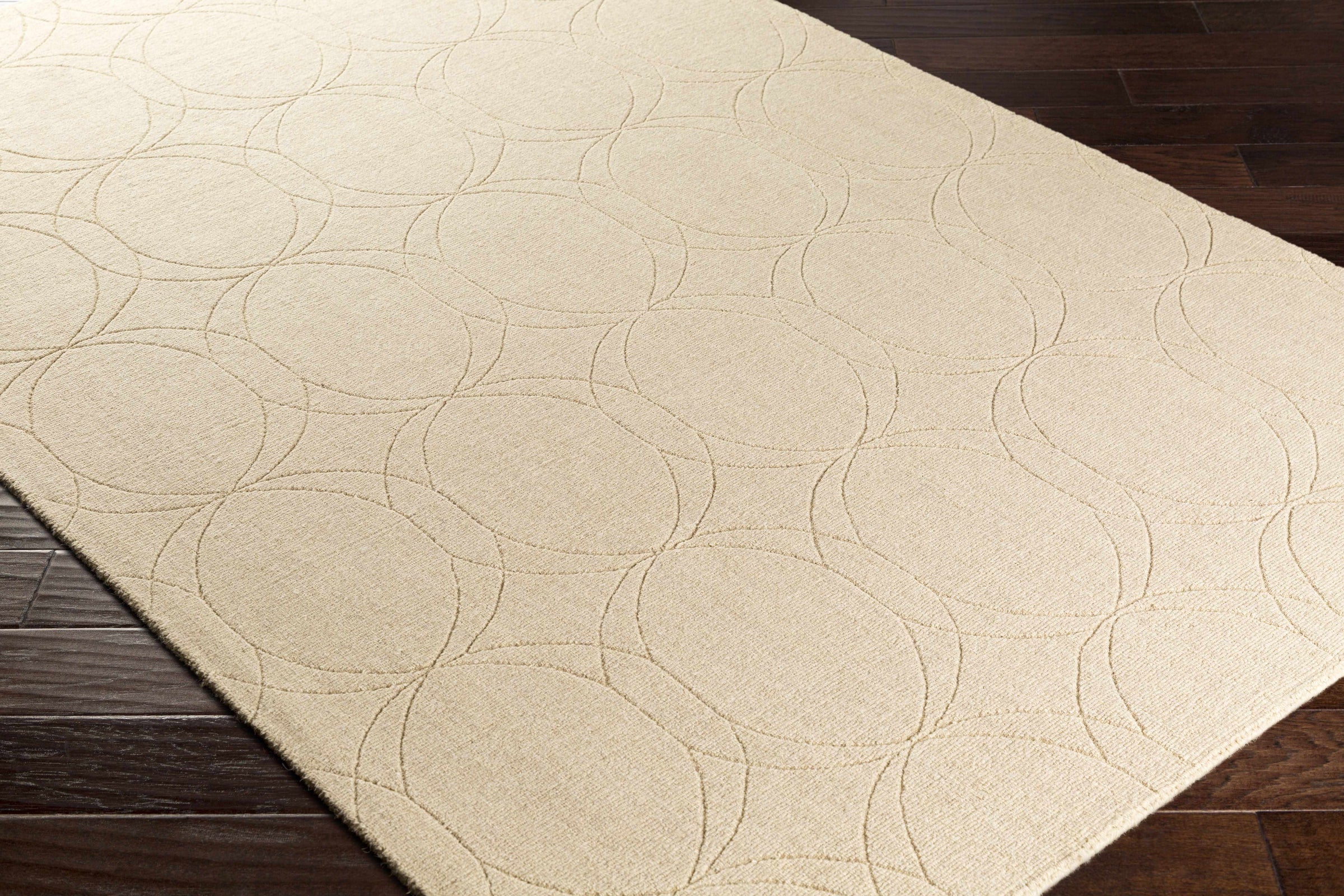Ashlee ASL-1000 Hand Loomed Rug