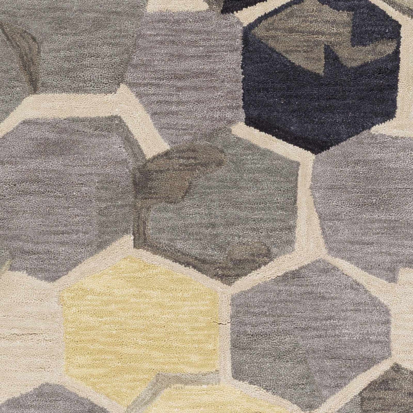 Rivera RVR-1008 Hand Tufted Rug