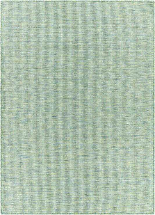 Pasadena PSA-2306 Machine Woven Rug