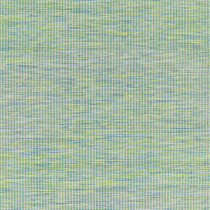 Pasadena PSA-2306 Machine Woven Rug