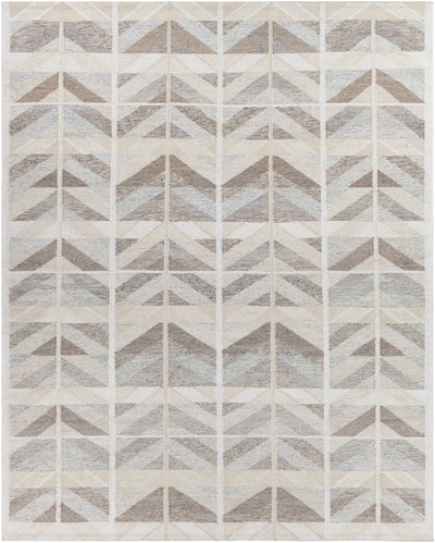 Tan Hand Woven 55% Viscose, 25% Wool, 15% Acrylic, 5% Cotton Global Rectangle Handmade rug, Indoor use only, no fringe, non-washable.