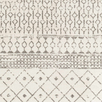 Tevazu TVZ-2388 Machine Woven Rug