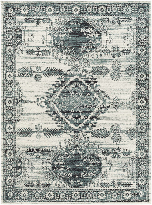 Tevazu TVZ-2364 Machine Woven Rug