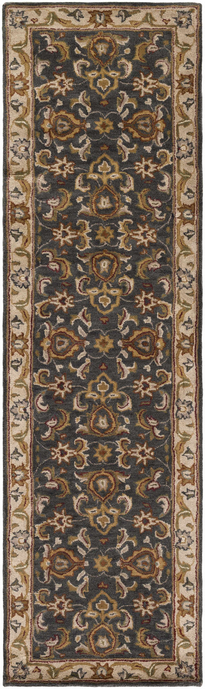 Middleton AWHY-2063 Hand Tufted Rug