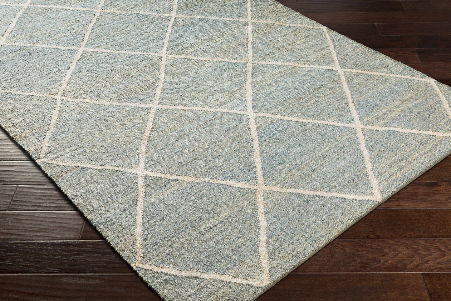 Cadence CEC-2309 Hand Woven Rug