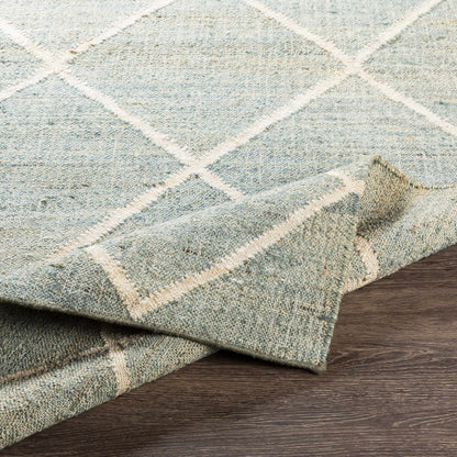 Cadence CEC-2309 Hand Woven Rug
