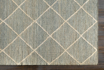 Cadence CEC-2309 Hand Woven Rug