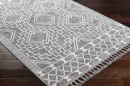 Palermo PLR-2304 Machine Woven Rug