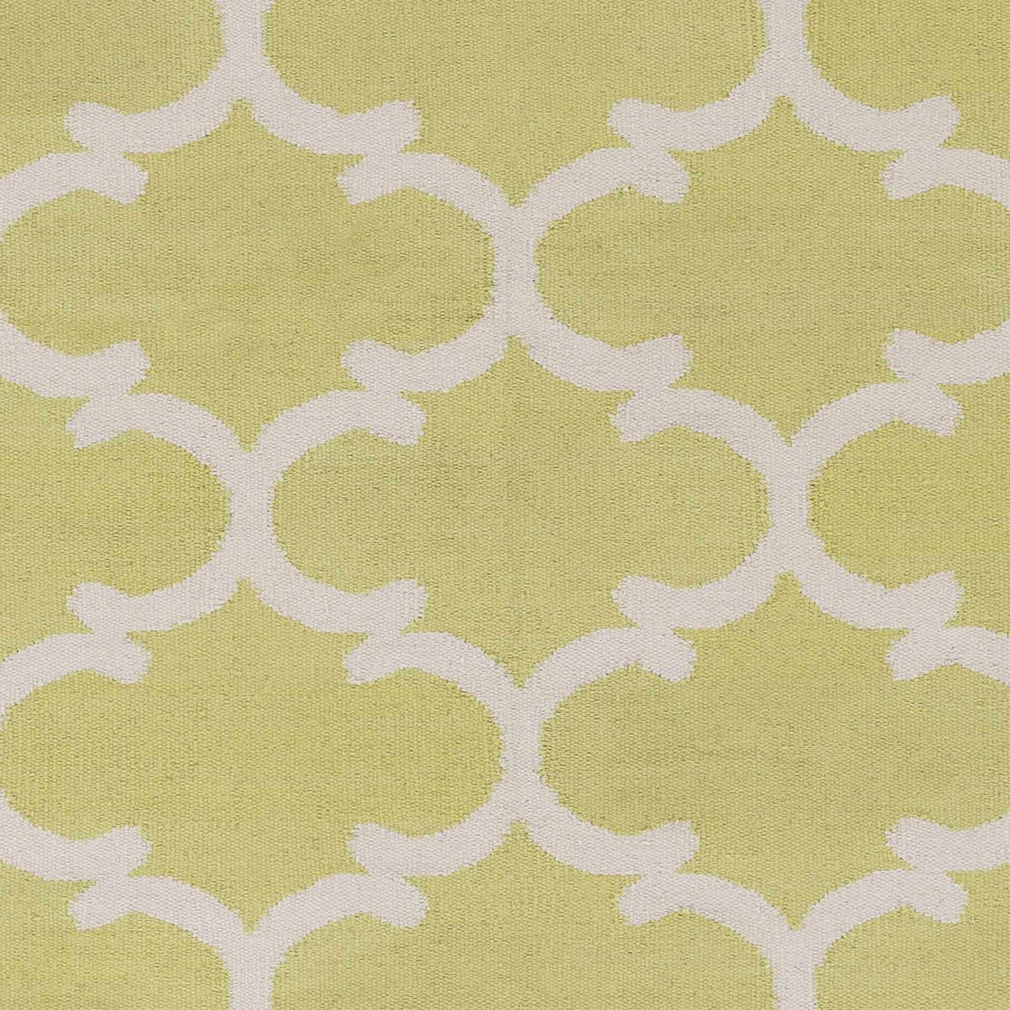 Vogue AWLT-3058 Hand Woven Rug