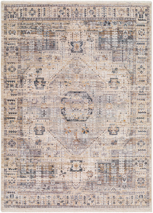 Aida AAD-2307 Machine Woven Rug
