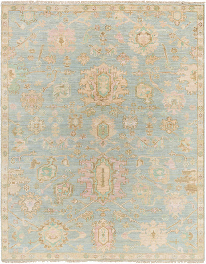 Antalya AAT-2310 Handmade Rug