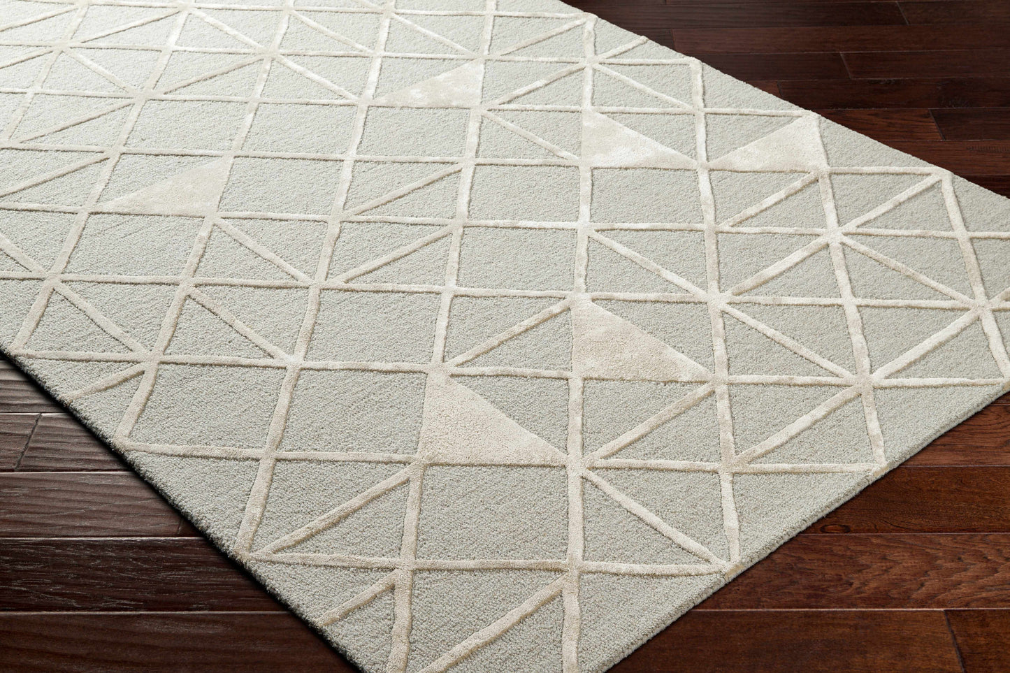 Addison ADD-2302 Handmade Rug