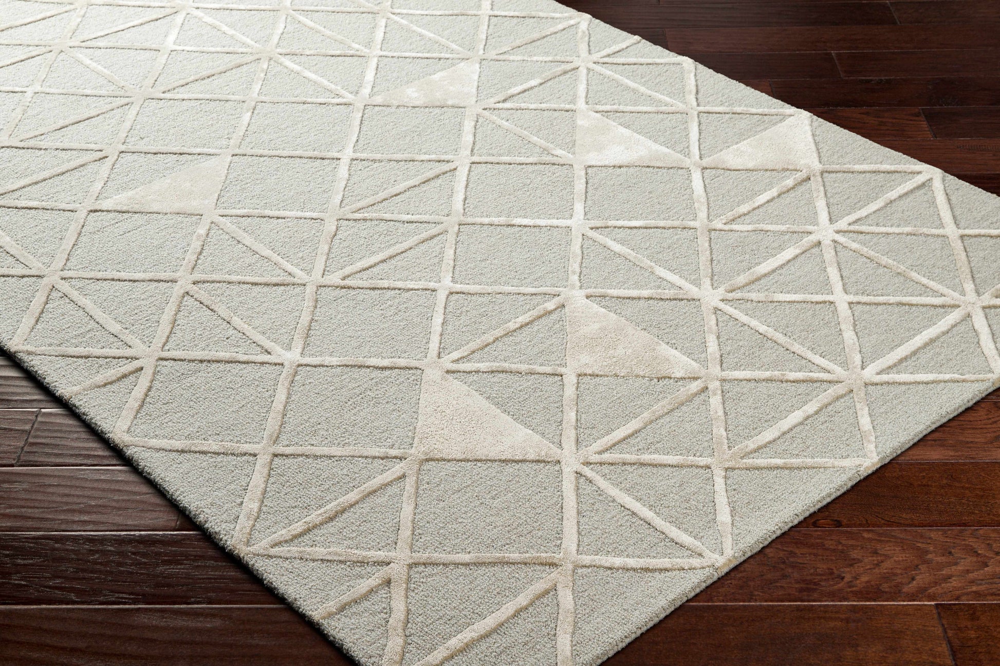 Addison ADD-2302 Handmade Rug
