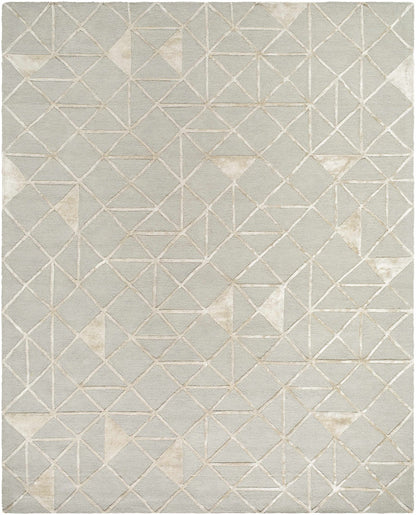 Addison ADD-2302 Handmade Rug