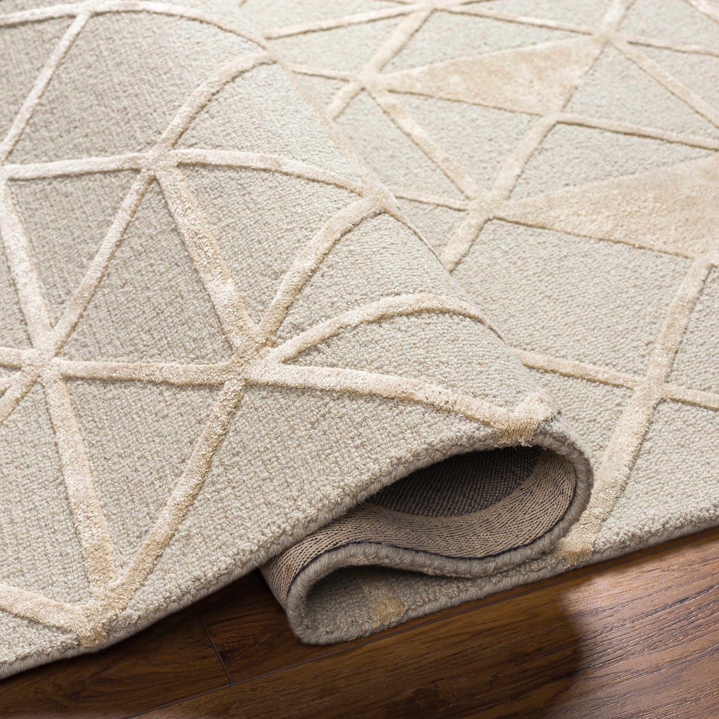 Addison ADD-2302 Handmade Rug