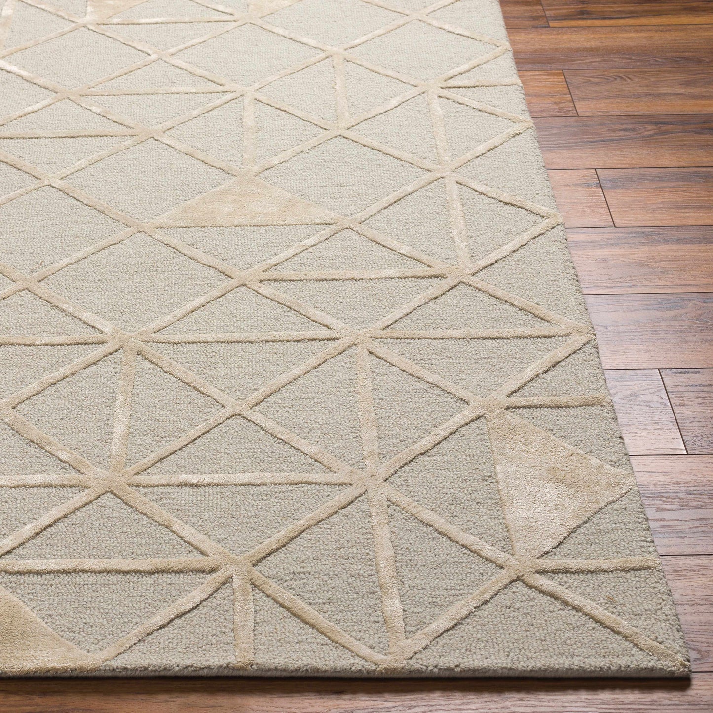 Addison ADD-2302 Handmade Rug