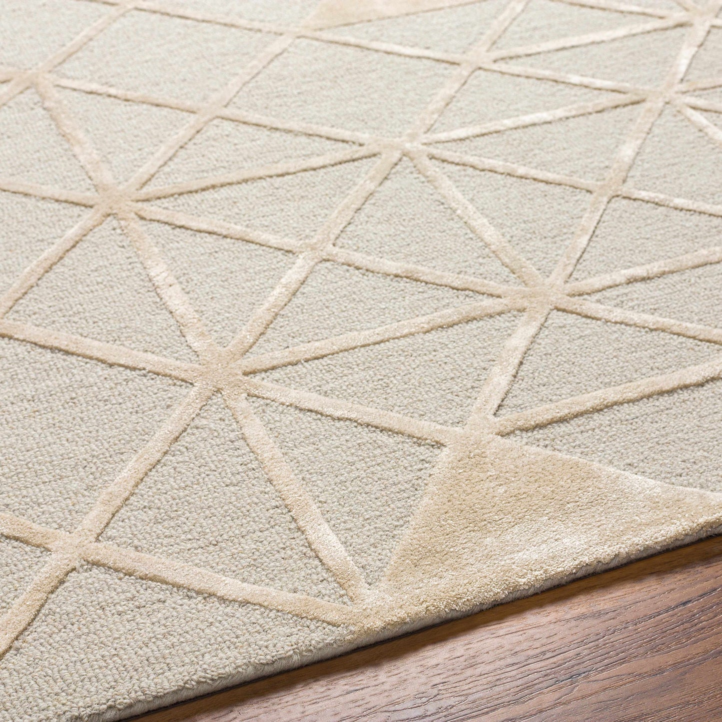 Addison ADD-2302 Handmade Rug