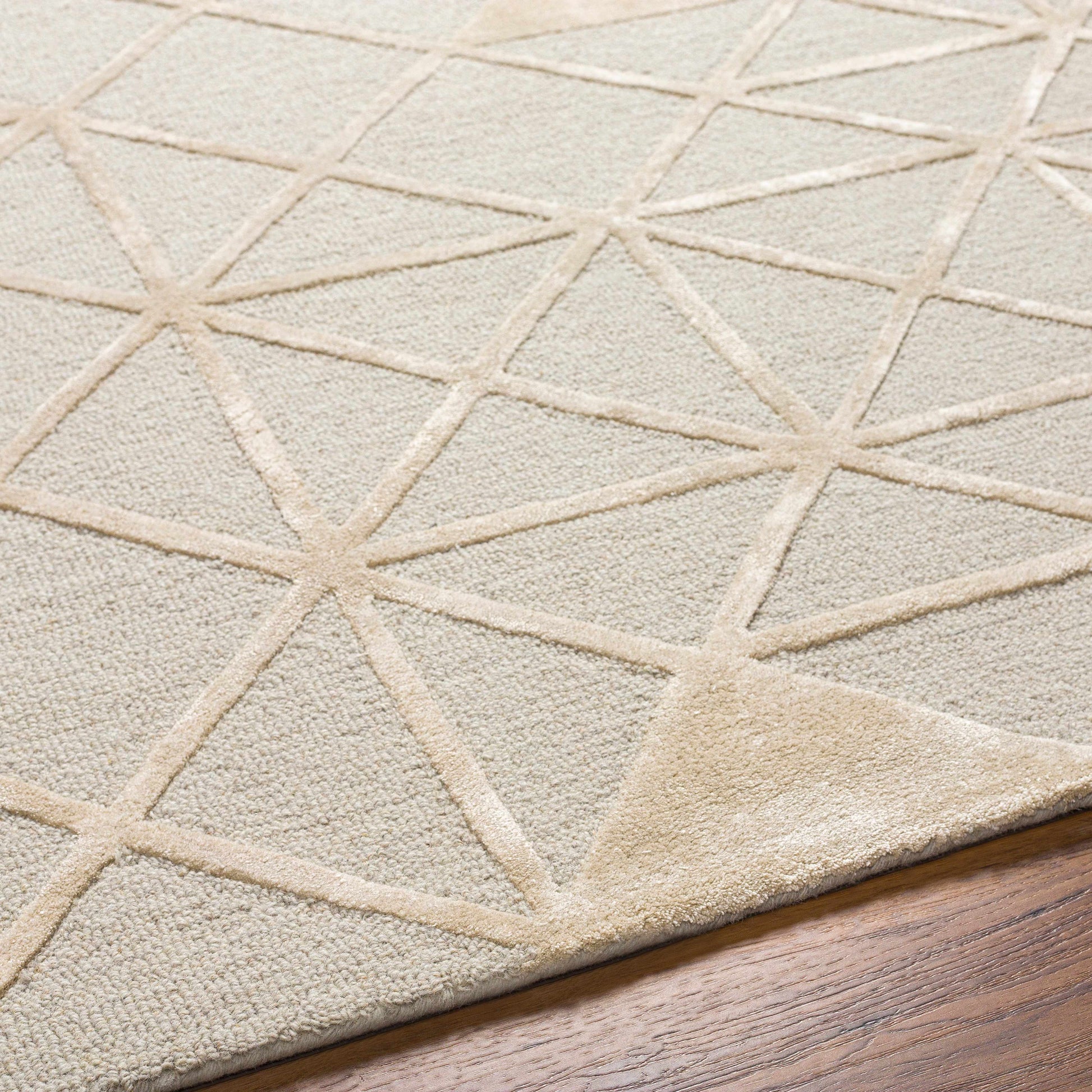 Addison ADD-2302 Handmade Rug