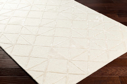 Addison ADD-2303 Handmade Rug