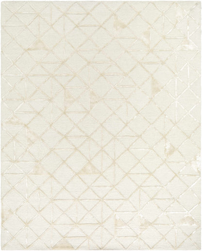Addison ADD-2303 Handmade Rug
