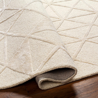 Addison ADD-2303 Handmade Rug