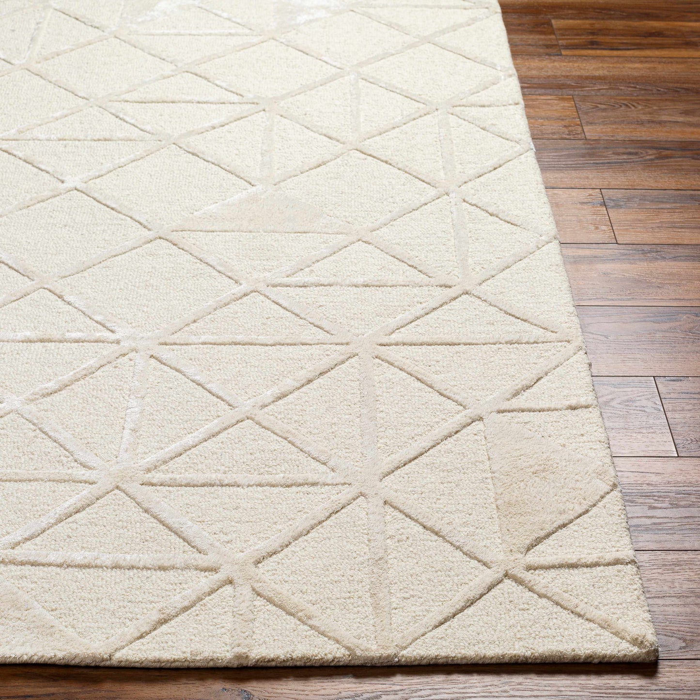 Addison ADD-2303 Handmade Rug