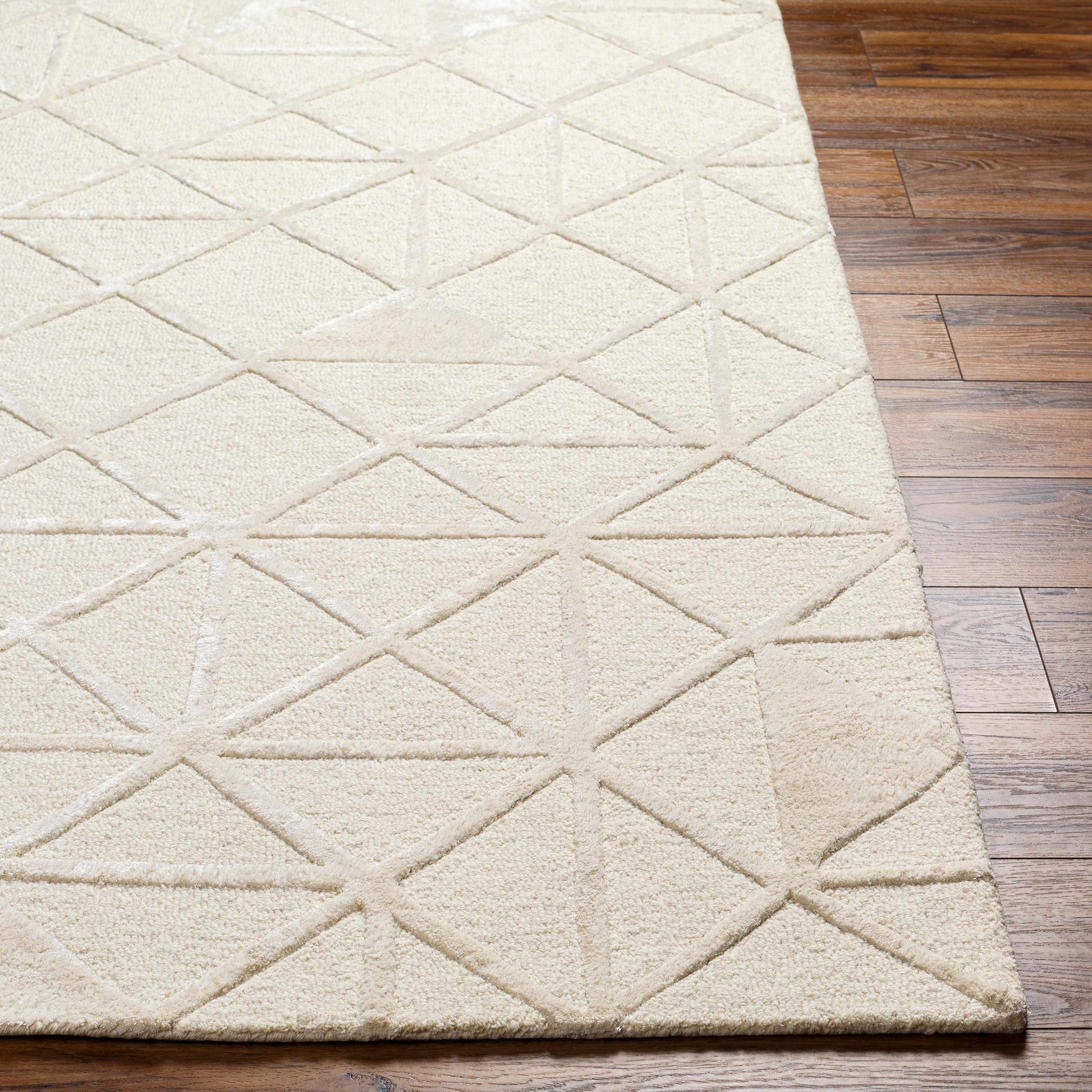 Addison ADD-2303 Handmade Rug