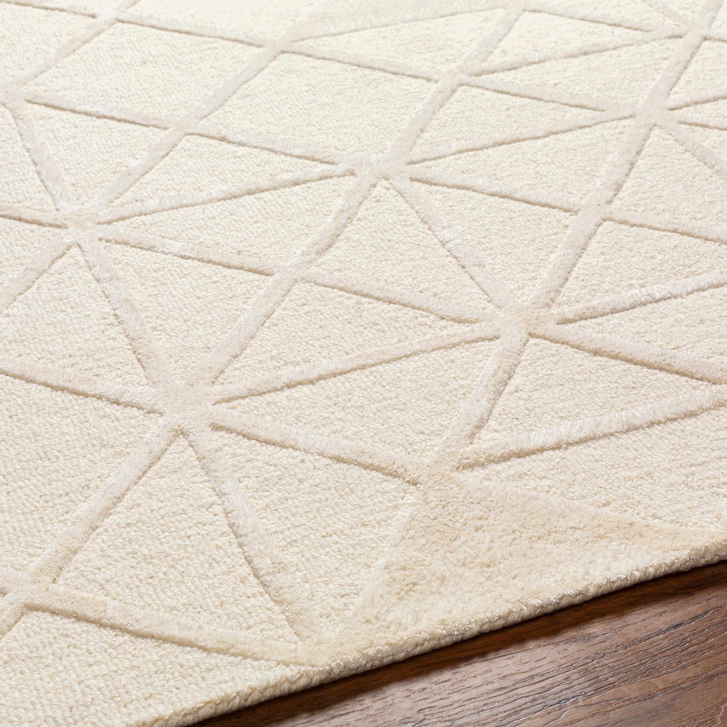 Addison ADD-2303 Handmade Rug