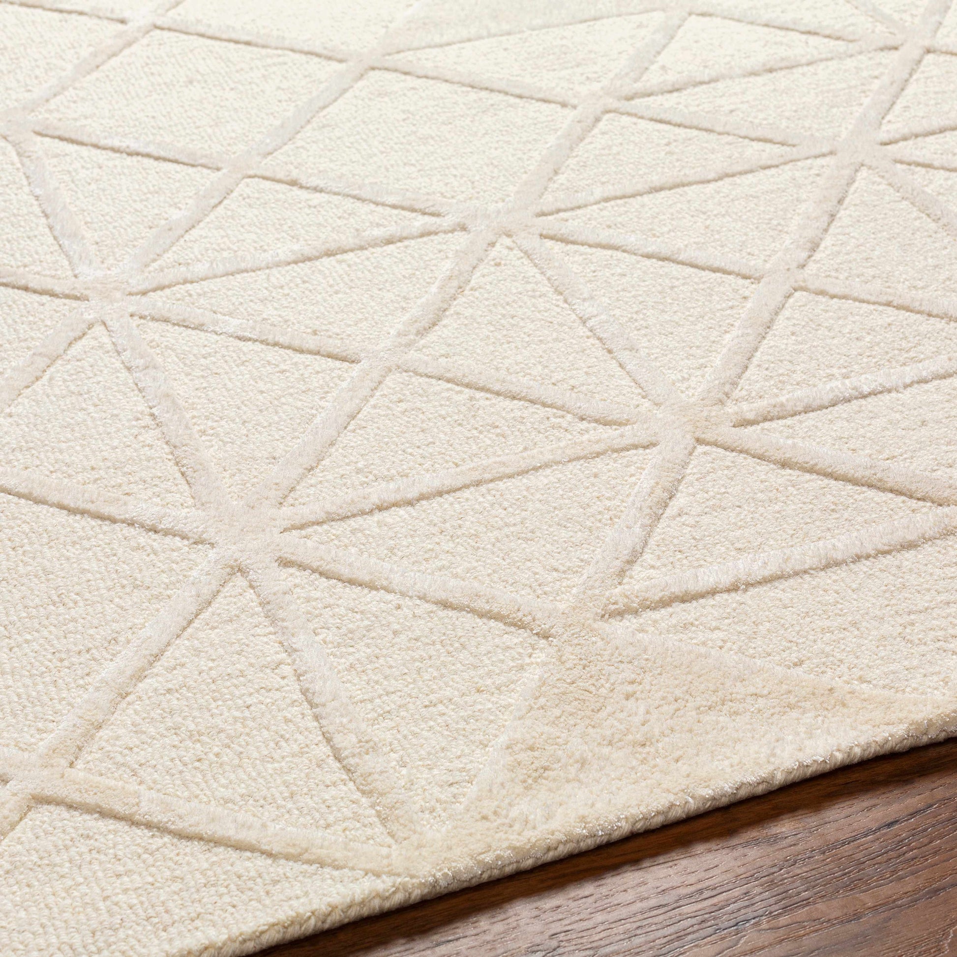 Addison ADD-2303 Handmade Rug
