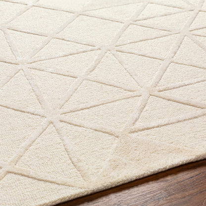 Addison ADD-2303 Handmade Rug