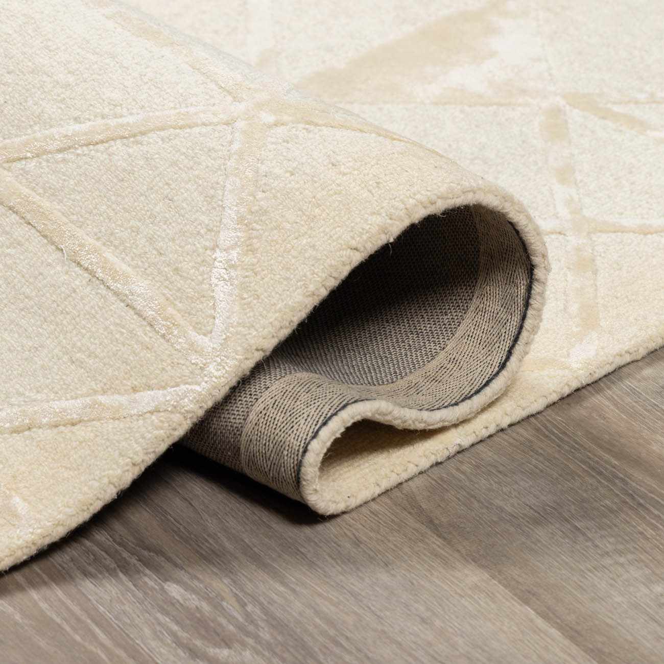 Addison ADD-2303 Handmade Rug