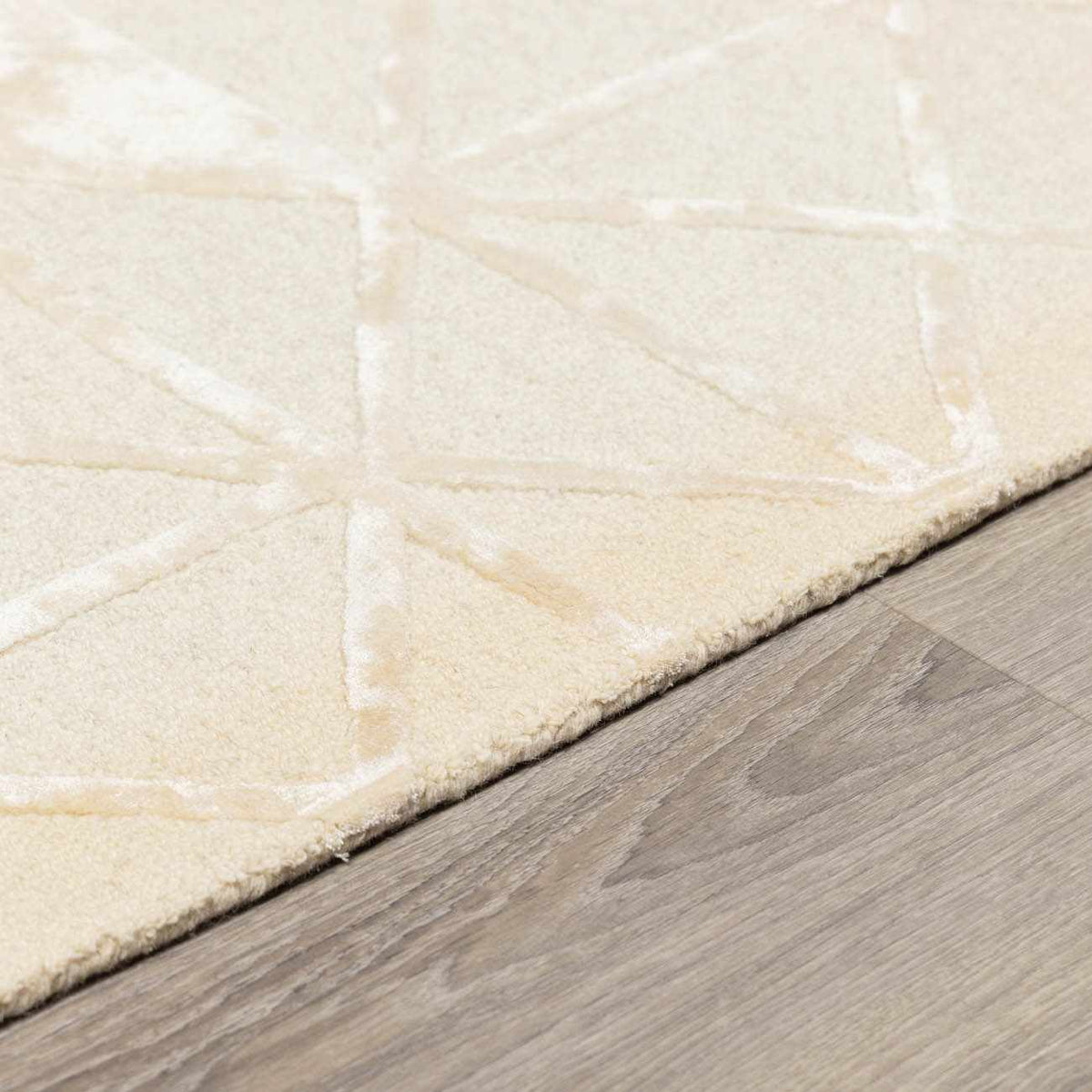 Addison ADD-2303 Handmade Rug