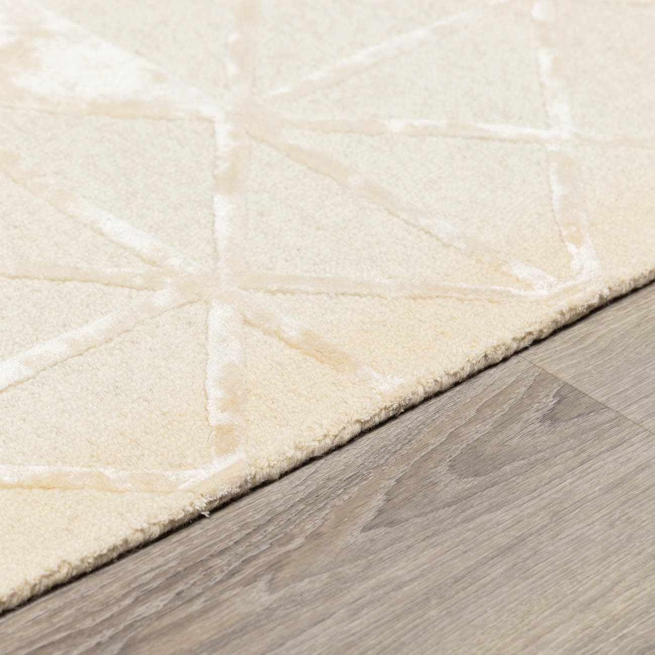 Addison ADD-2303 Handmade Rug