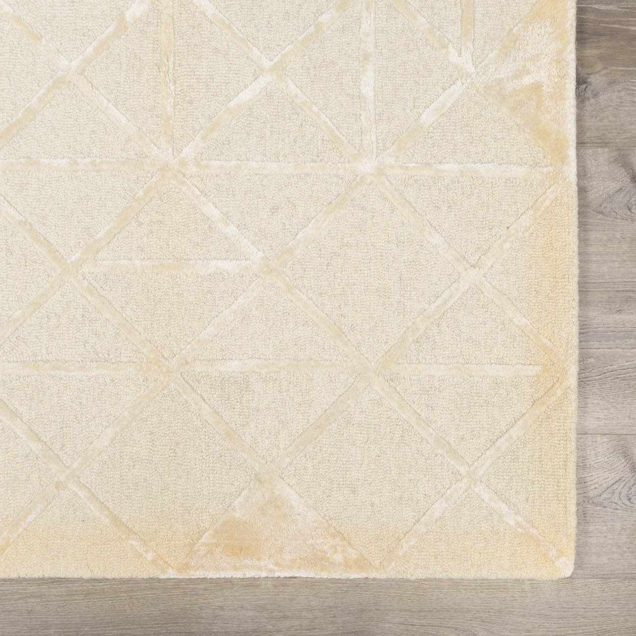 Addison ADD-2303 Handmade Rug