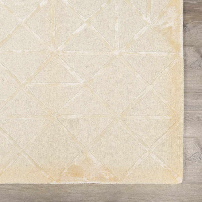 Addison ADD-2303 Handmade Rug