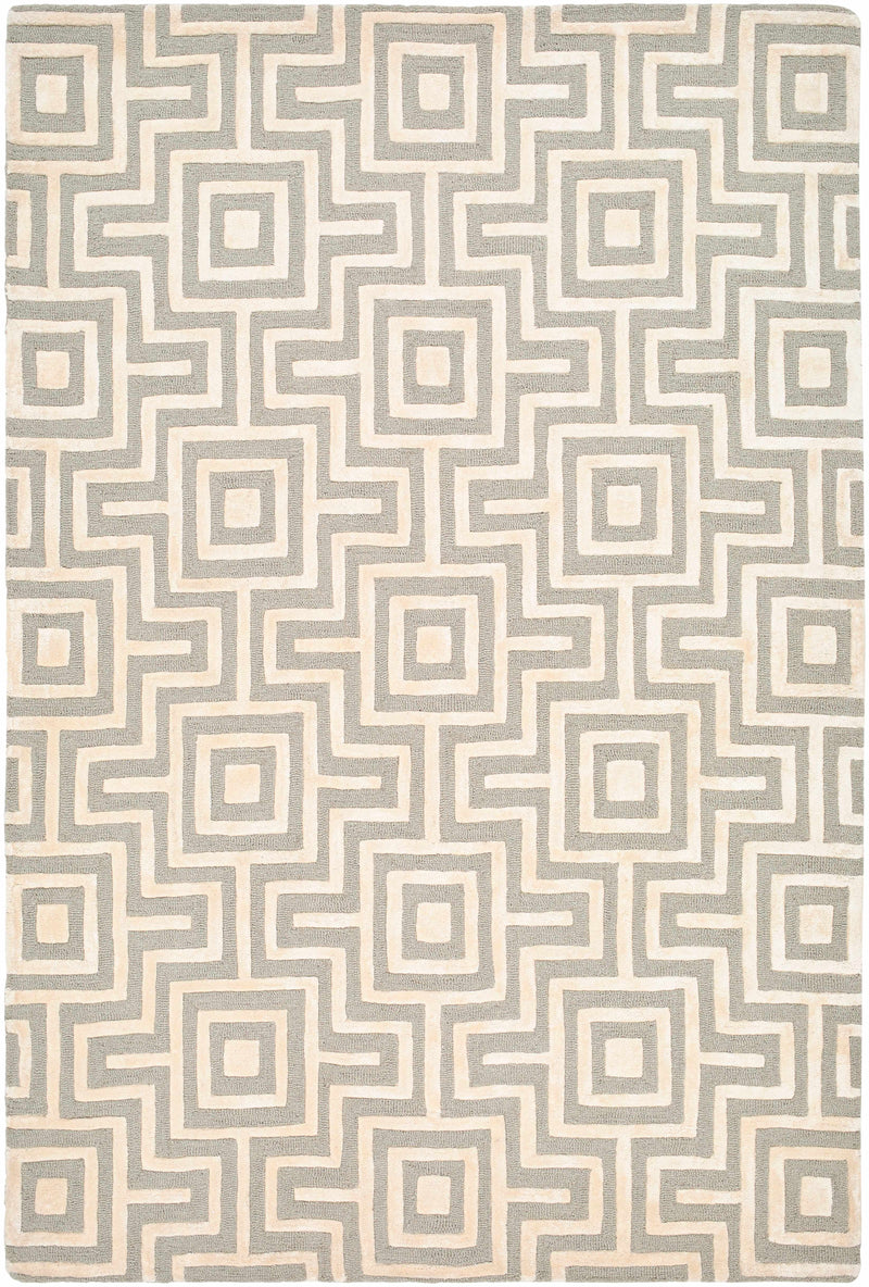 Beige Hand Tufted 60% Wool, 40% Viscose Modern Rectangle Handmade rug, Indoor use only, no fringe, non-washable.