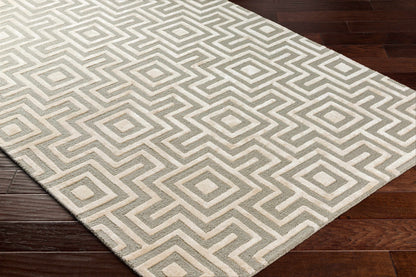 Addison ADD-2301 Handmade Rug