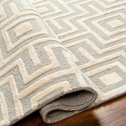 Addison ADD-2301 Handmade Rug