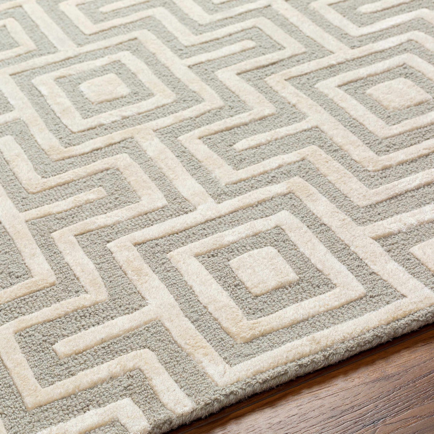 Addison ADD-2301 Handmade Rug