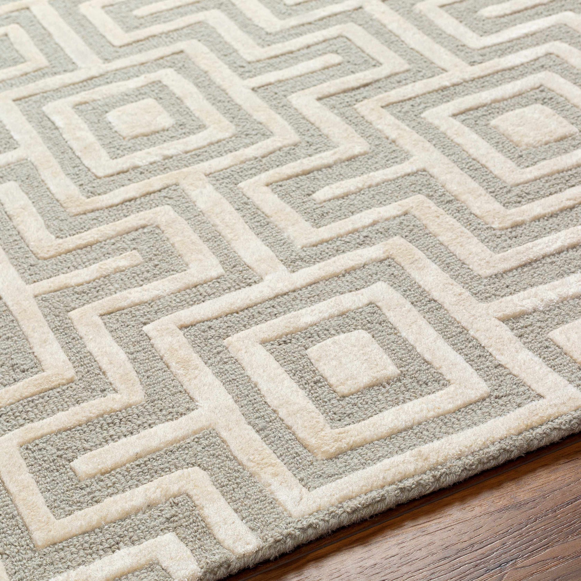Addison ADD-2301 Handmade Rug