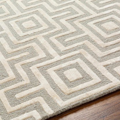 Addison ADD-2301 Handmade Rug