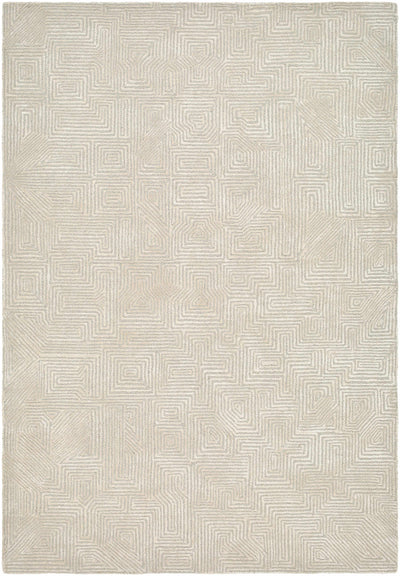 Light Gray Hand Tufted 60% Wool, 40% Viscose Modern Rectangle Handmade rug, Indoor use only, no fringe, non-washable.