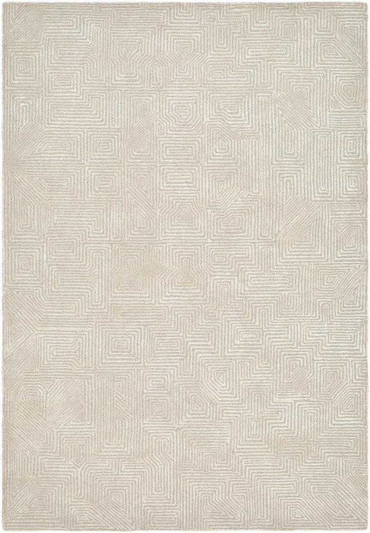 Light Gray Hand Tufted 60% Wool, 40% Viscose Modern Rectangle Handmade rug, Indoor use only, no fringe, non-washable.