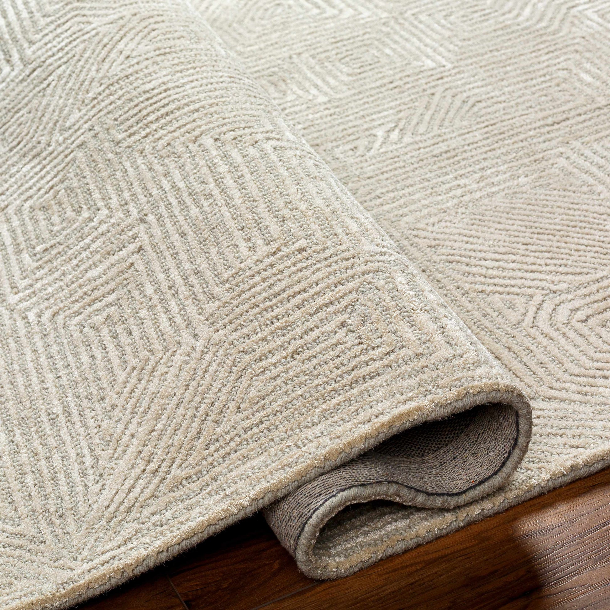 Addison ADD-2304 Handmade Rug