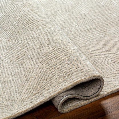 Addison ADD-2304 Handmade Rug