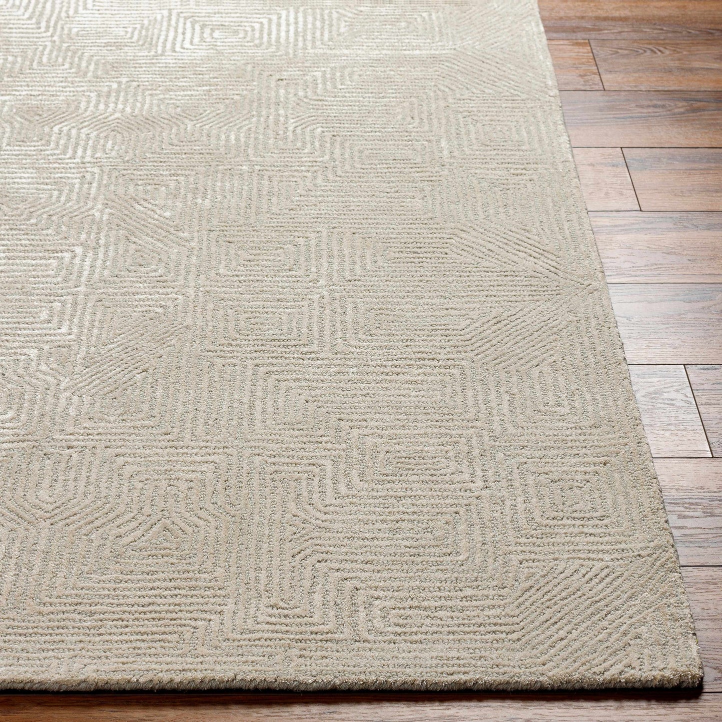 Addison ADD-2304 Handmade Rug
