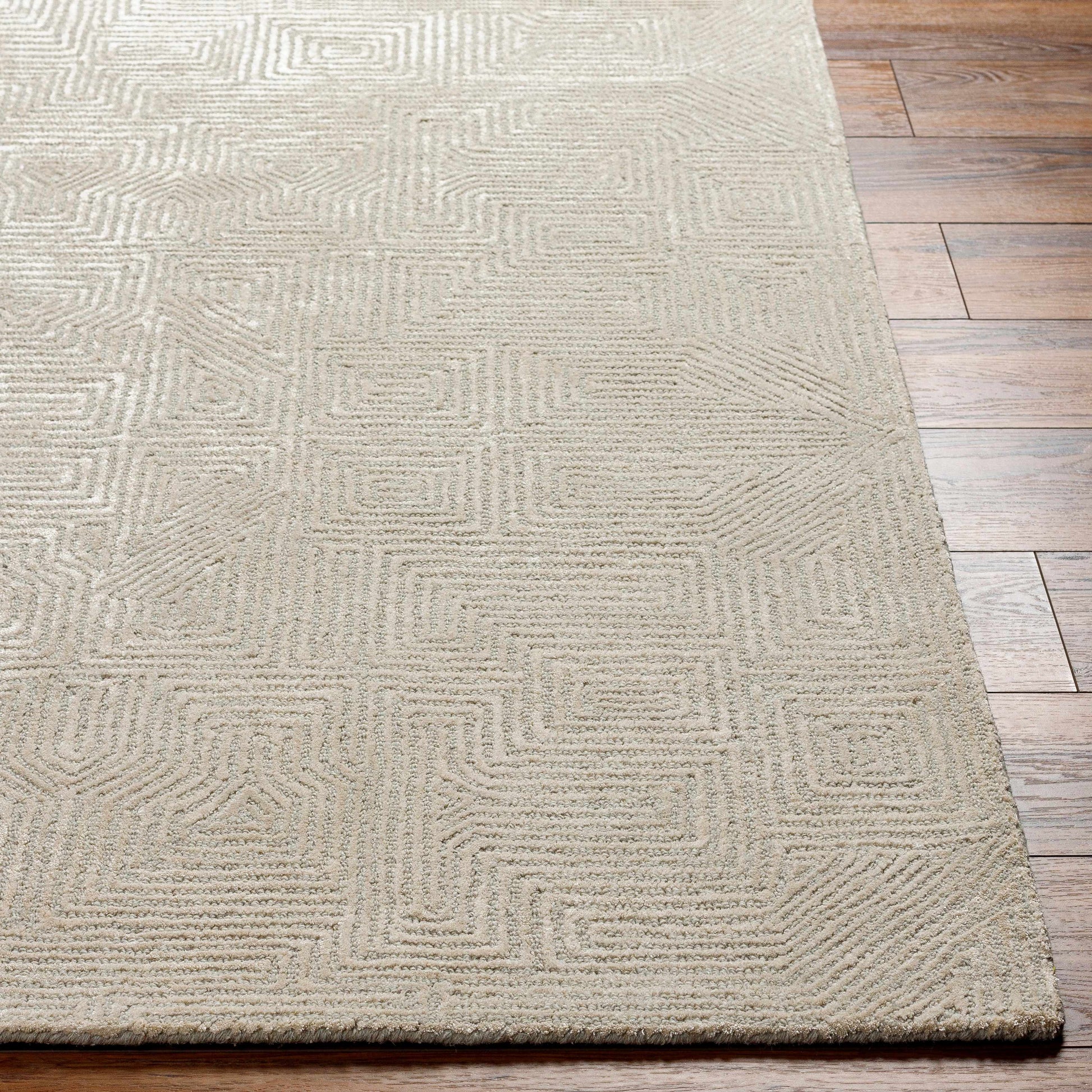 Addison ADD-2304 Handmade Rug