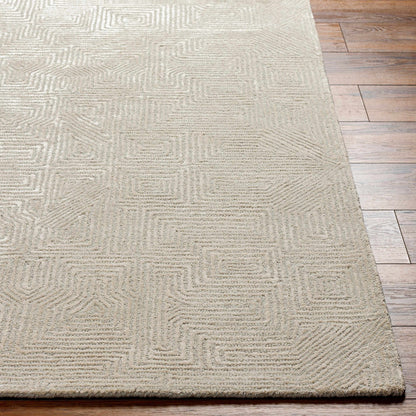 Addison ADD-2304 Handmade Rug