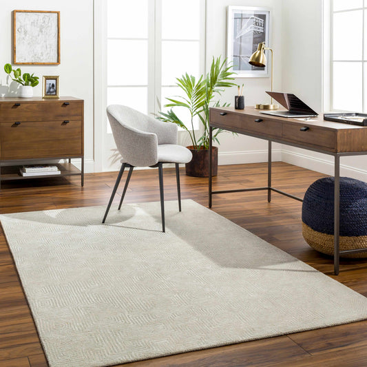 Addison ADD-2304 Handmade Rug